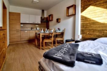 EFI ApartHotel Horní Lipová - living room with kitchen